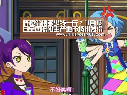 脐橙价格多少钱一斤?11月13日全国脐橙主产地市场批发价汇总“中文资讯”(图2) 2026美加墨