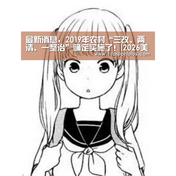 最新消息,2019年农村“三改、两清、一整治”确定实施了!|2026美加墨(图4) 中文资讯