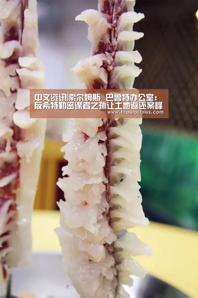 中文资讯|索尔姆斯-巴鲁特办公室:反希特勒密谋者之孙让土地返还案峰回路转(图3) 2026美加墨