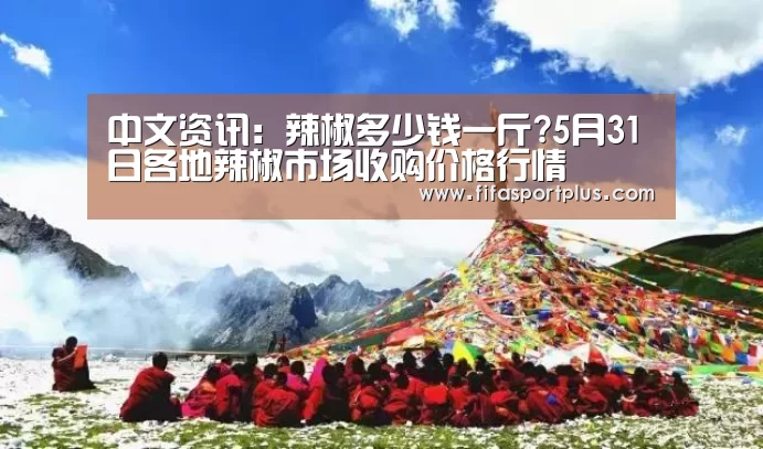 中文资讯:辣椒多少钱一斤?5月31日各地辣椒市场收购价格行情(图1) 中文资讯