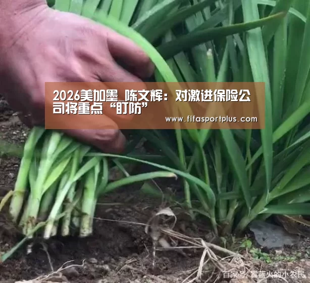 焦点比赛