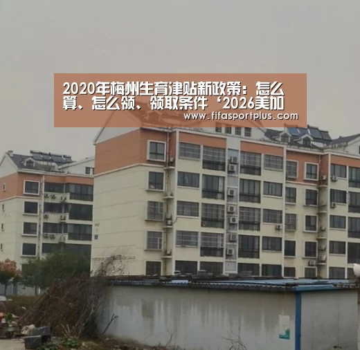 中文资讯