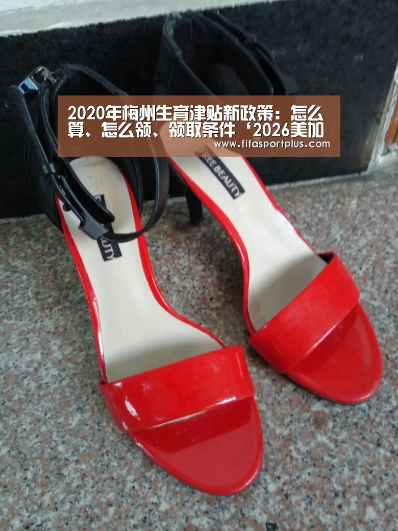 焦点比赛